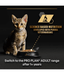Pro Plan Purina Pro Plan Kitten Healthy Start, Wet Cat Food, Mousse rich in Chicken 85g