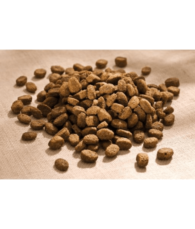 Happy Dog – NaturCroq Mini Salmon & Rice Adult Small Breed Dry Dog Food – Skin & Coat Support 4 kg kibble.