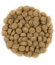 Avantis Avantis Pet - Gourmet With Pork Adult Dog 3kg-15kg