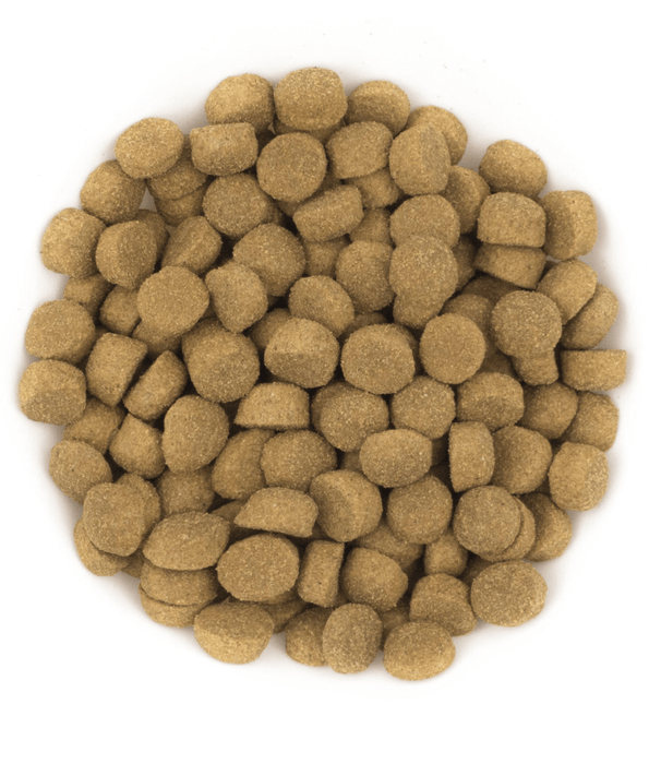 Avantis Avantis Pet - Gourmet With Pork Adult Dog 3kg-15kg