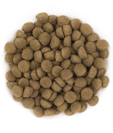 Avantis Avantis Pet - Original With Pork for Adult Dog 3kg-15kg