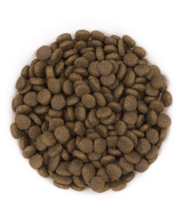 Avantis Pure Avantis Pure - Oceanic Adult Dog With Salmon 2kg-12kg