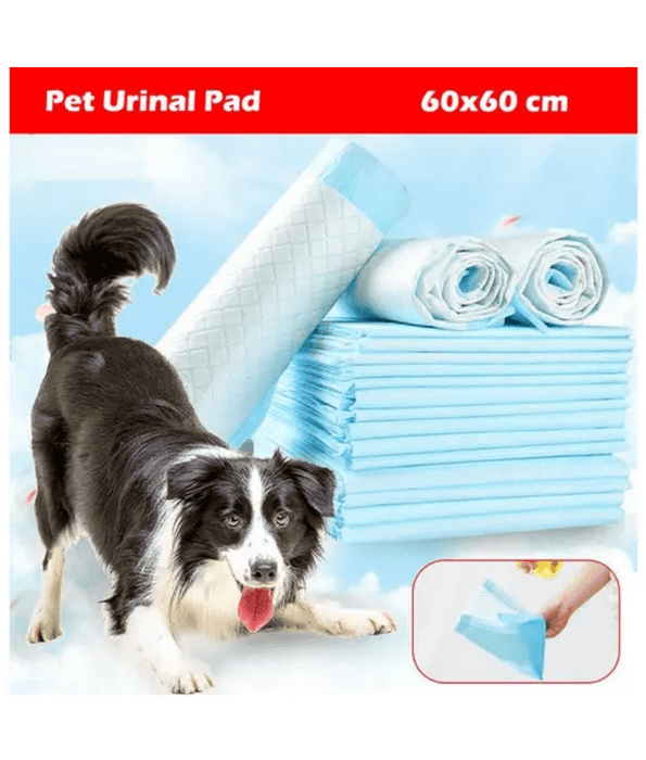 Training Pads Training Pads Anti-Side Leakage 60*60 40PCS L