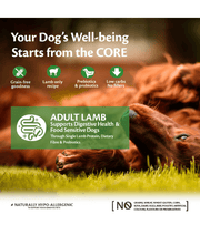 Wellness Core Adult Lamb All Breed 1.8kg-10kg