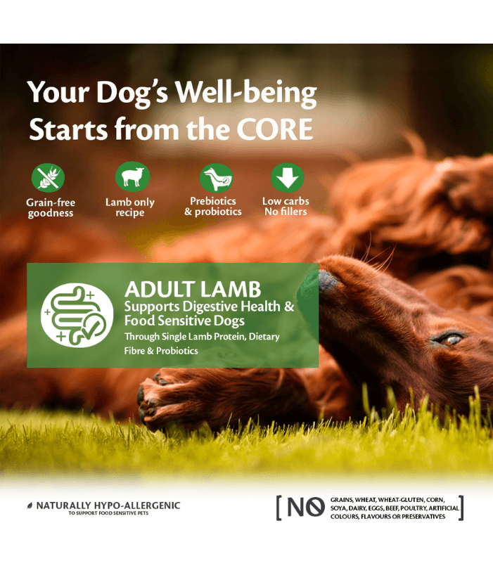 Wellness Core Adult Lamb All Breed 1.8kg-10kg