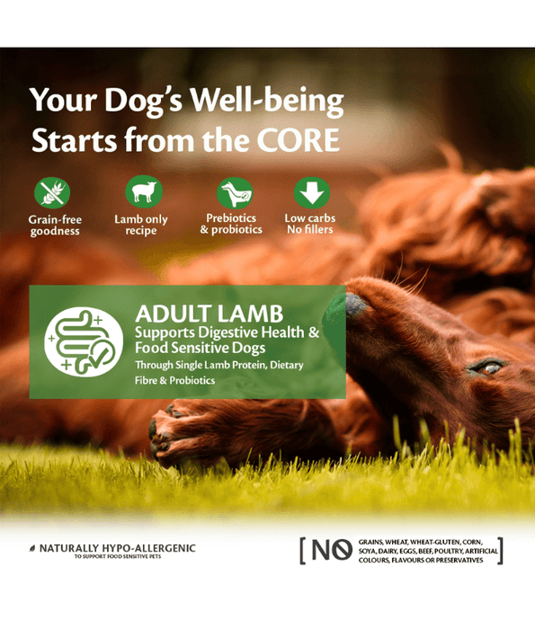 Wellness Wellness Core Adult Lamb All Breed 10kg