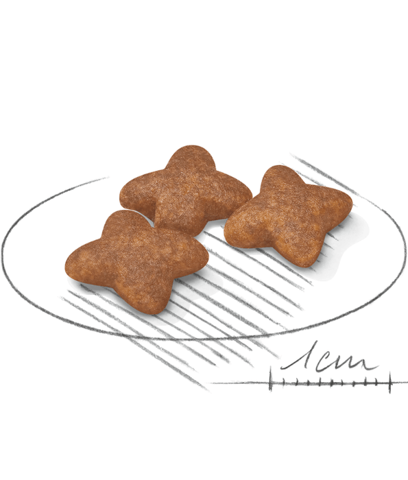 Royal Canin Royal Canin Mini Adult 2kg-4kg