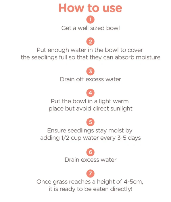 M-Pets - Grow Cat Grass, Indoor Grass Kit, Digestive Support, Hairball Control, Vitamin Rich - 70 g