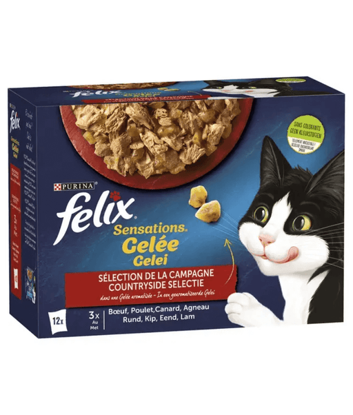 Purina Felix - Sensations in Jelly Adult Cat Wet Food – Beef, Chicken, Duck & Lamb, Adult – 12x85g packaging with cat.