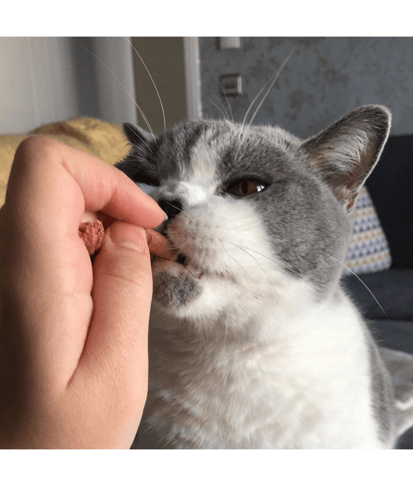 Webbox - Tasty Sticks Beef & Rabbit Cat Treats – Grain Free – 30g (6 Sticks)