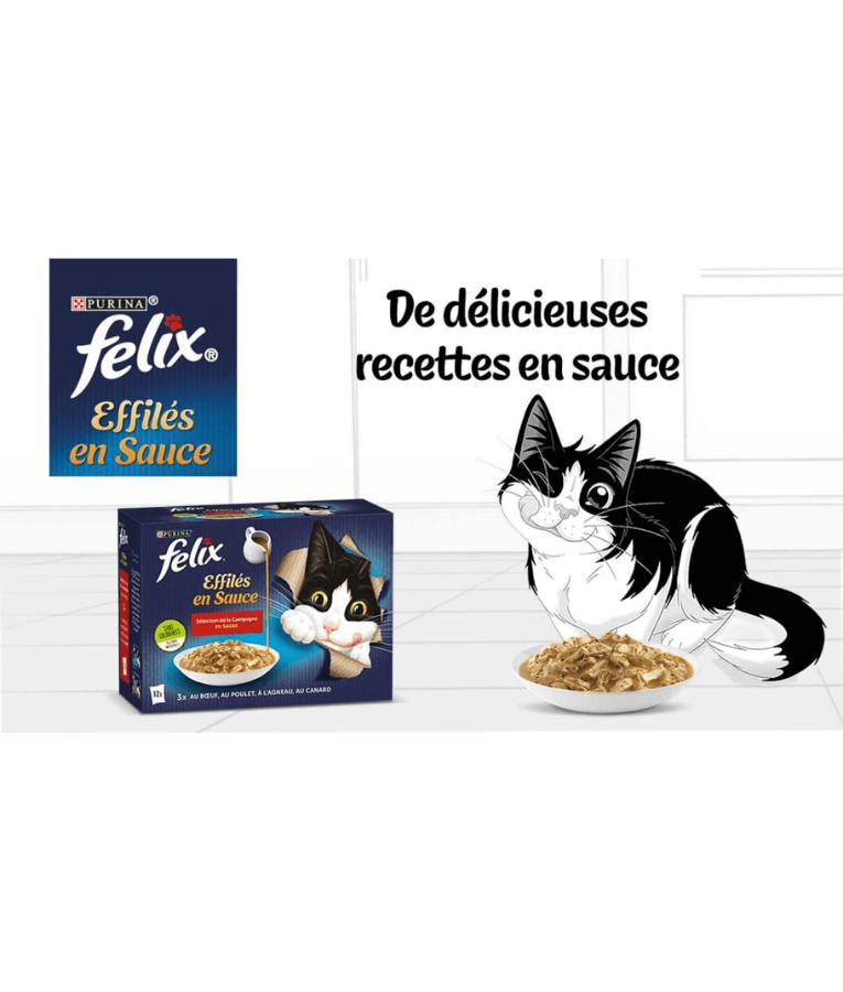 Purina Felix - Tendres Effilés en Sauce Adult Cat Wet Food – Beef, Chicken, Lamb & Duck, Adult – 12x85g with cat illustration.