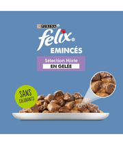 Purina Felix - Tender Shredded Cat Wet Food in Jelly – Beef, Salmon, Chicken & Tuna, Adult – 12x85g on a plate.