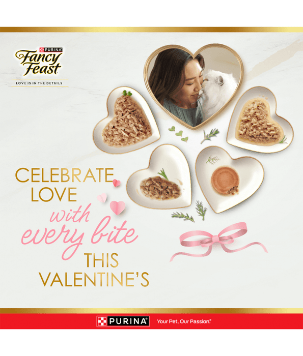 Purina Fancy Feast - Classic Paté Gravy Lovers Gourmet Cat Food – Savoury Salmon, All Life Stages – 4x85g