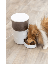 Trixie - TX-S Smart 3.0L Automatic Food Dispenser in use with a dog feeding on dry food.