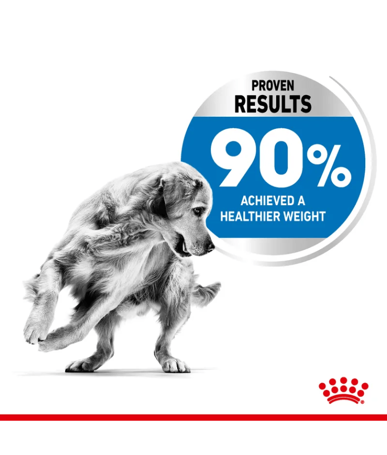 Royal Canin - Light Weight Care Maxi Dry Dog Food - Weight Management, Joint Support - 3 kg, 90% achieved a healthier weight.