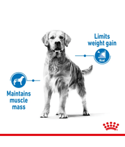 Royal Canin - Light Weight Care Maxi Dry Dog Food - Weight Management, Joint Support - 3 kg image showing limits on weight gain and muscle mass maintenance.