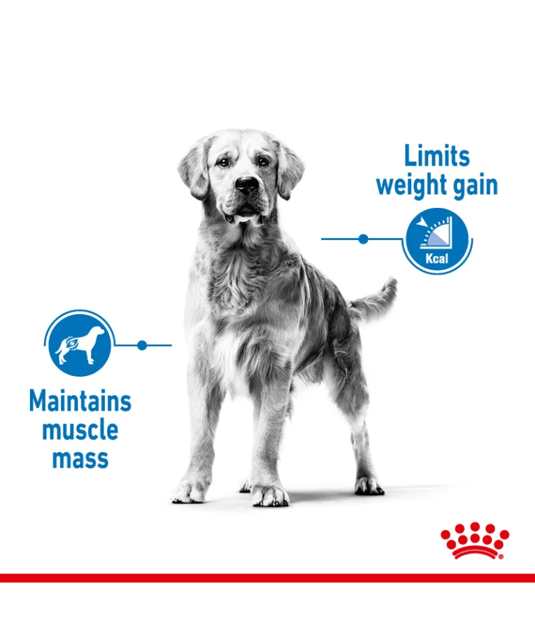 Royal Canin - Light Weight Care Maxi Dry Dog Food - Weight Management, Joint Support - 3 kg image showing limits on weight gain and muscle mass maintenance.