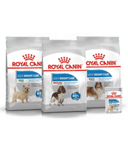 Royal Canin - Light Weight Care Maxi Dry Dog Food - Weight Management, Joint Support - 3 kg packs displayed together.