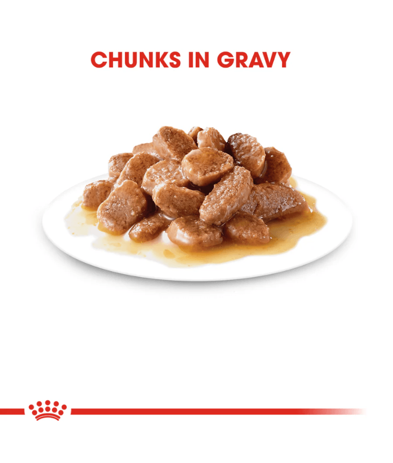 Royal Canin - Indoor Sterilised in Gravy Wet Cat Food for Indoor Sterilised Cats 7+ – 85g Pouch, chunks in gravy
