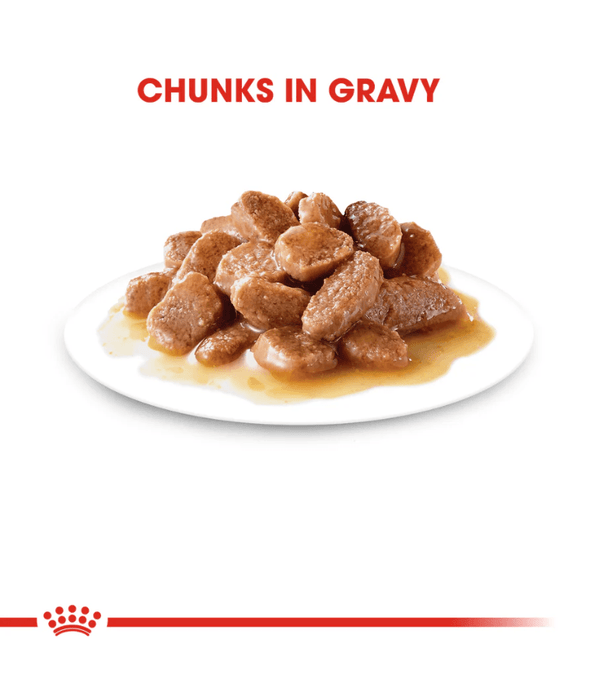 Royal Canin - Indoor Sterilised in Gravy Wet Cat Food for Indoor Sterilised Cats 7+ – 85g Pouch