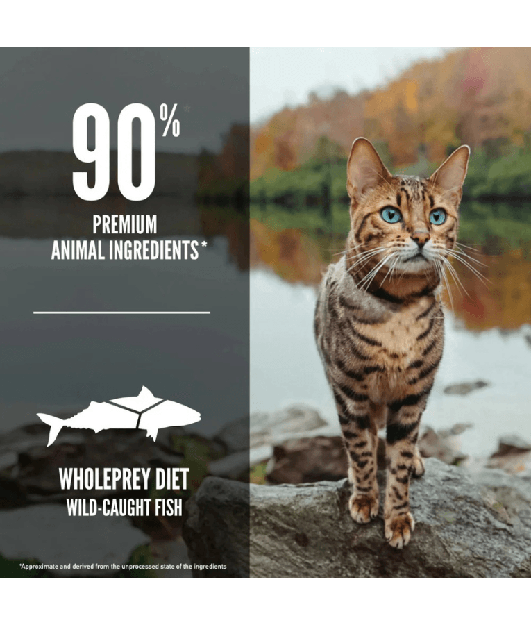 Orijen - Six Fish Recipe, Wild-Caught Fish, High-Protein, Grain-Free, Adult & Senior Dry Cat Food - 1.8kg