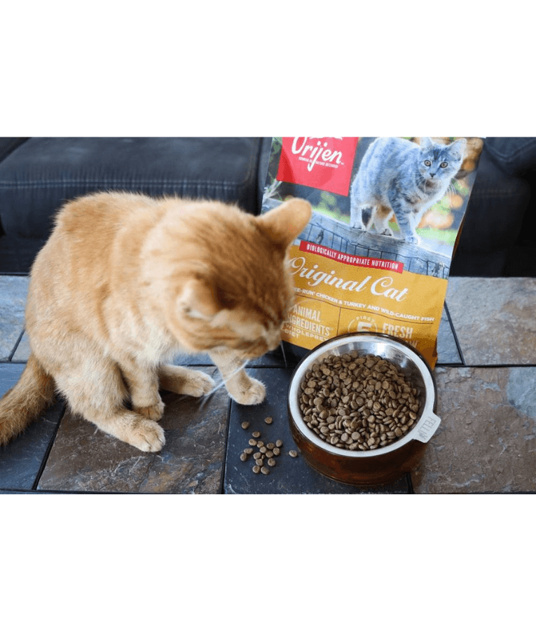 Orijen - Original Cat, Chicken, Turkey & Fish, High-Protein, Grain-Free, WholePrey, Adult & Senior Dry Cat Food - 340g - 1.8kg - 5.4kg