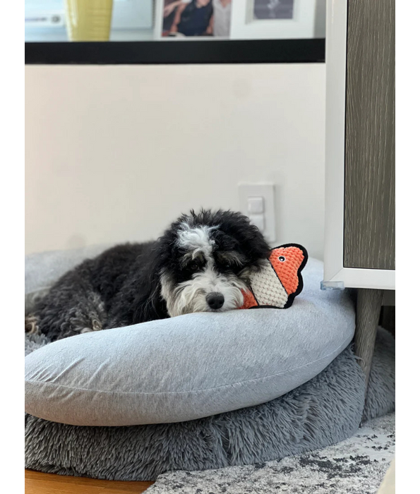 Spunky Pup - Clownfish Clean Earth Plush Textured, Recycled Materials - Sustainable Floating Squeaky Dog Toy