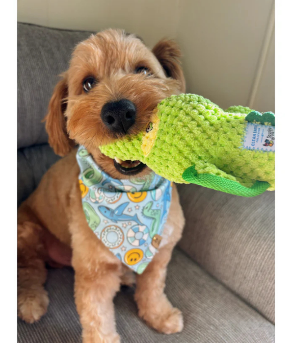 Spunky Pup - Gator Clean Earth Plush Textured, Recycled Materials - Sustainable Floating Squeaky Dog Toy