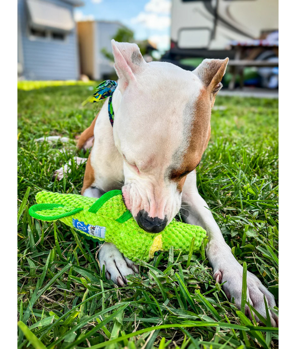 Spunky Pup - Gator Clean Earth Plush Textured, Recycled Materials - Sustainable Floating Squeaky Dog Toy