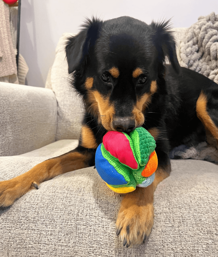 Spunky Pup - Wedge Stuffies Treat Dispensing Plush Toy, Fun Enrichment