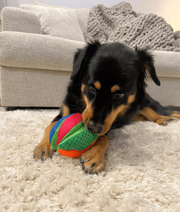 Spunky Pup - Wedge Stuffies Treat Dispensing Plush Toy, Fun Enrichment