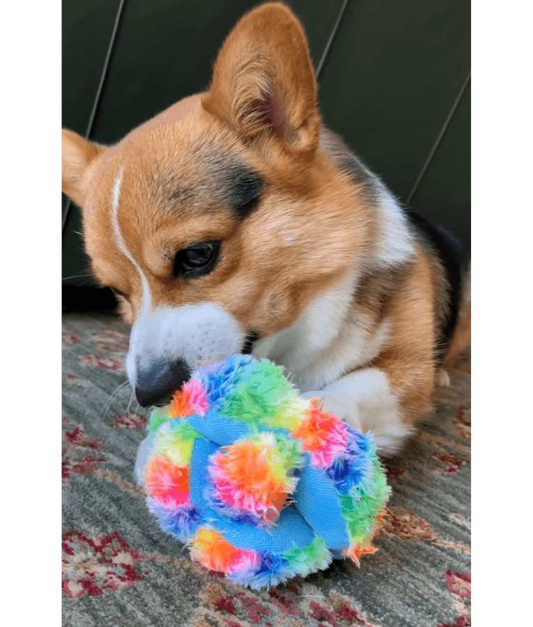Spunky Pup - Fuzz Stuffies Treat Dispensing Plush Toy, Fun Enrichment - XL