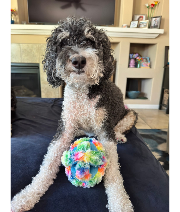 Spunky Pup - Fuzz Stuffies Treat Dispensing Plush Toy, Fun Enrichment - XL