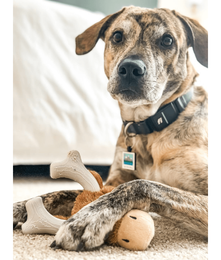 Spunky Pup - Knuckleheads Deer 2-in-1 Plush & Nylon Chew Toy, Dental Play