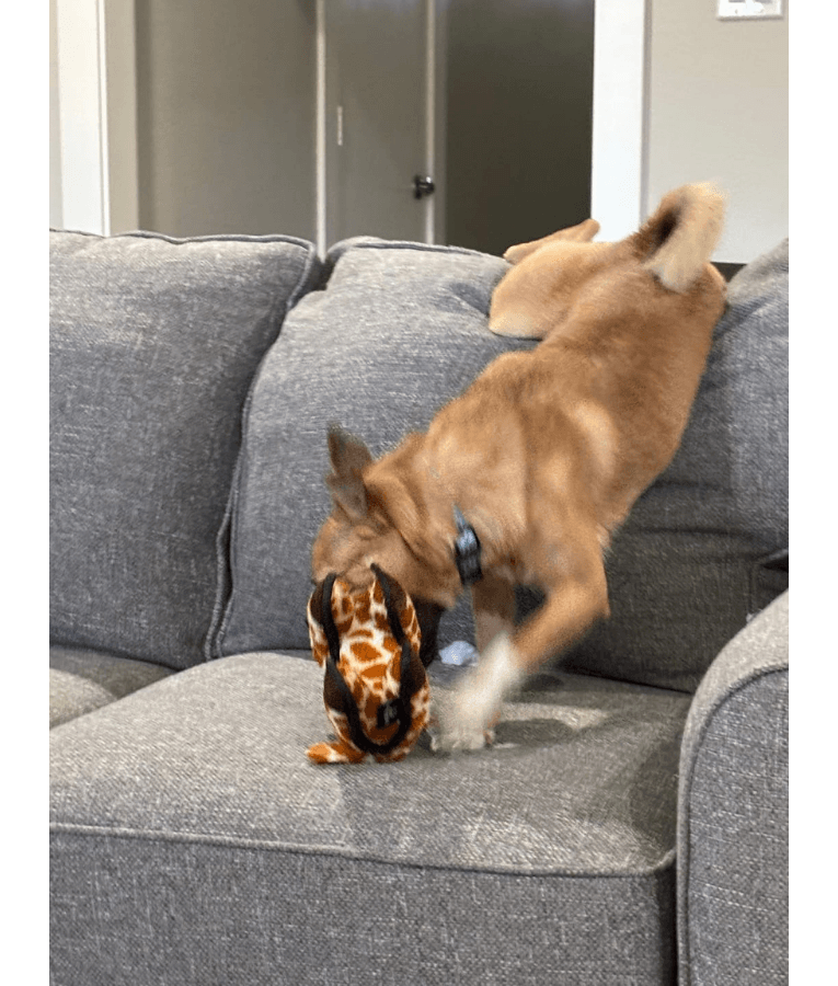 Spunky Pup - Tough Plush Giraffe Toy, Triple Stitch Durable Squeaky