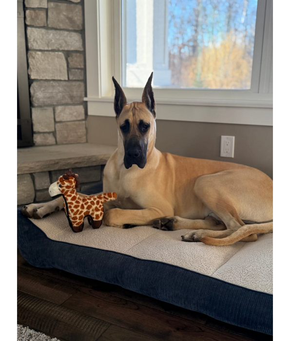 Spunky Pup - Tough Plush Giraffe Toy, Triple Stitch Durable Squeaky