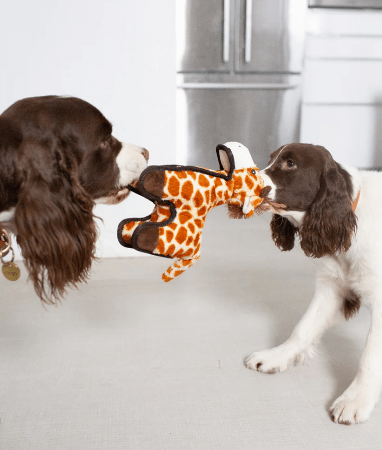Spunky Pup - Tough Plush Giraffe Toy, Triple Stitch Durable Squeaky