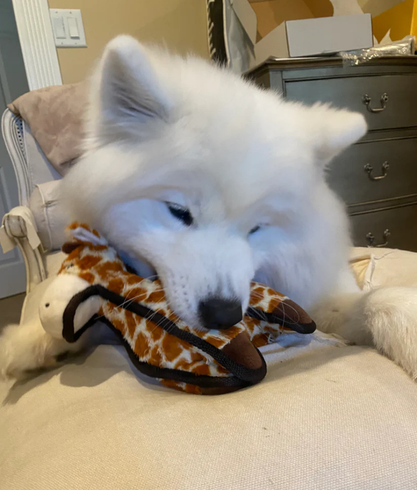 Spunky Pup - Tough Plush Giraffe Toy, Triple Stitch Durable Squeaky