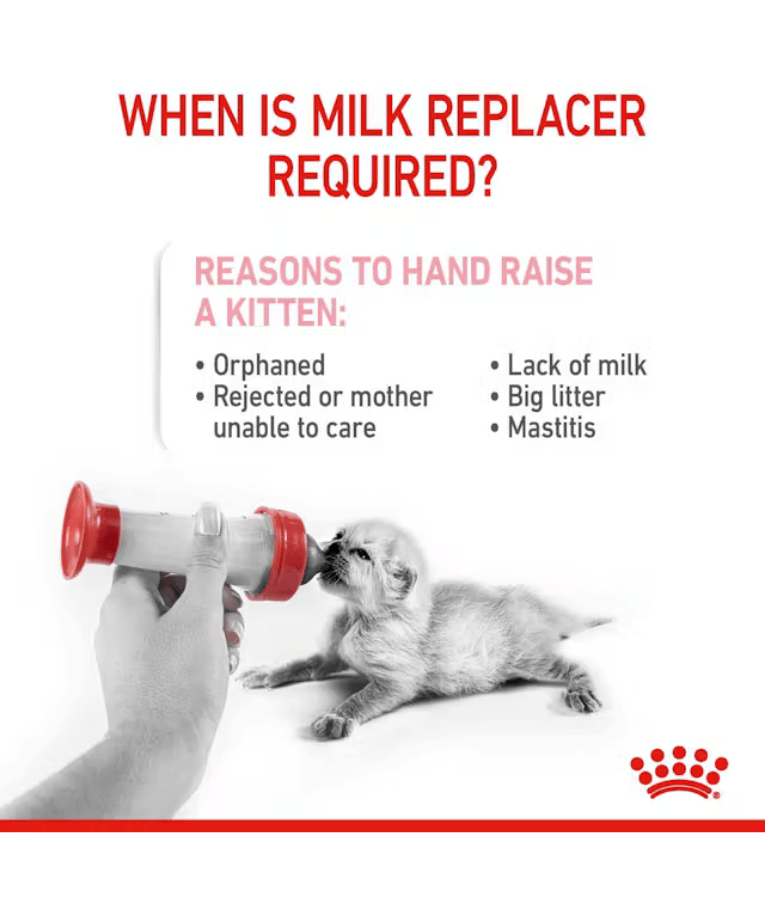 Royal Canin - Babycat Milk, Kitten Milk Replacer for Growth & Development, Mother & Baby - 300g