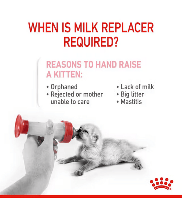 Royal Canin - Babycat Milk, Kitten Milk Replacer for Growth & Development, Mother & Baby - 300g