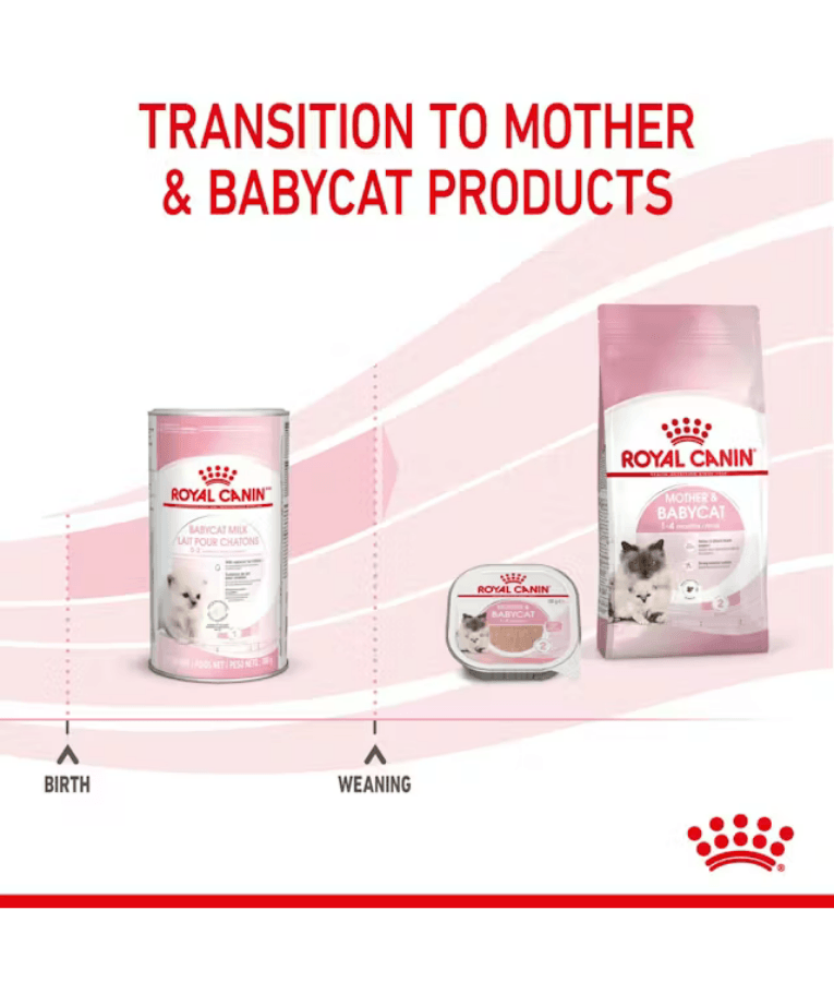 Royal Canin - Babycat Milk, Kitten Milk Replacer for Growth & Development, Mother & Baby - 300g