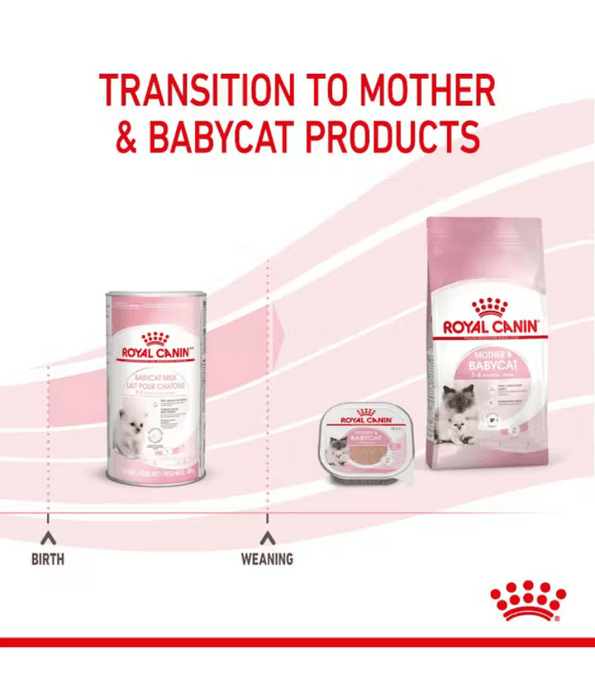 Royal Canin - Babycat Milk, Kitten Milk Replacer for Growth & Development, Mother & Baby - 300g