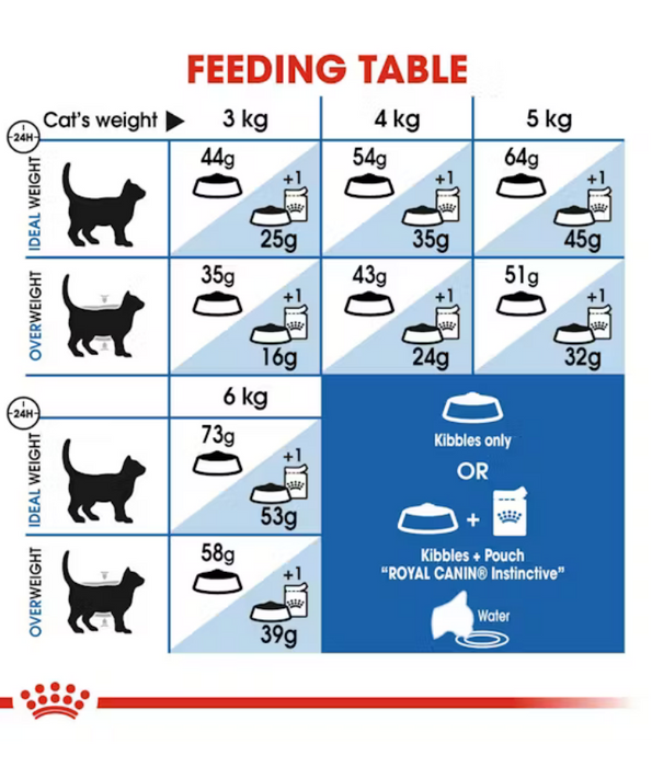 Royal Canin - Indoor Long Hair, Hairball Reduction, Skin & Coat Support, Adult Indoor Long-Haired Cat Dry Food - 2 kg