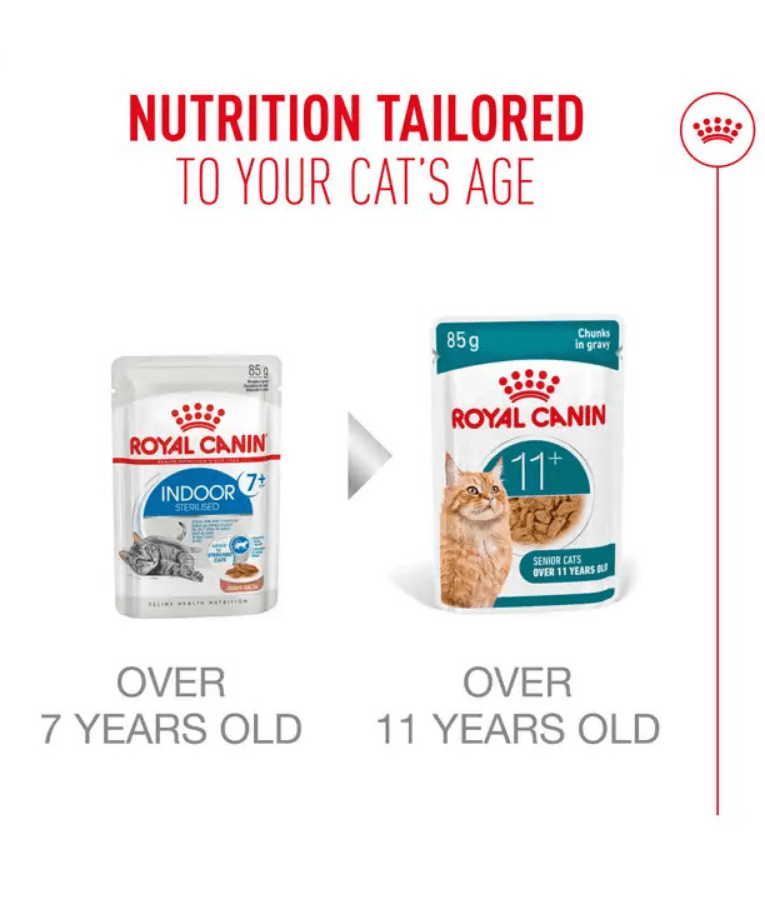 Royal Canin - Ageing 11+ Chunks in Gravy, Senior, HealthyAge7 Complex, Joint & Renal Support, Wet Cat Food - 85g