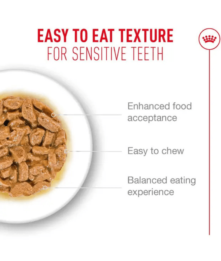 Royal Canin - Ageing 11+ Chunks in Gravy, Senior, HealthyAge7 Complex, Joint & Renal Support, Wet Cat Food - 85g