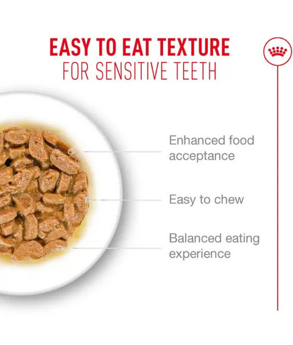 Royal Canin - Ageing 11+ Chunks in Gravy, Senior, HealthyAge7 Complex, Joint & Renal Support, Wet Cat Food - 85g