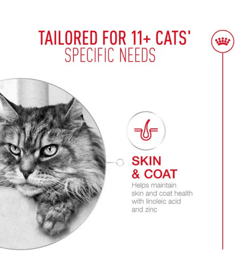 Royal Canin - Ageing 11+ Chunks in Gravy, Senior, HealthyAge7 Complex, Joint & Renal Support, Wet Cat Food - 85g