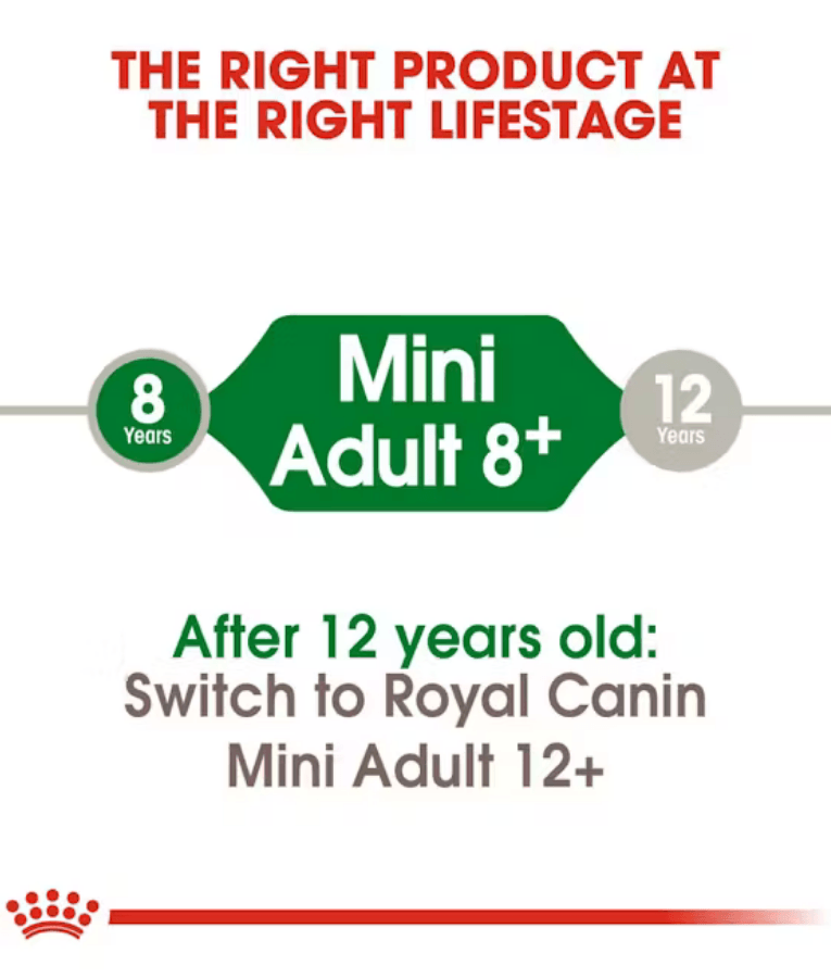 Royal Canin - Mini Adult 8+, Chicken, Senior Mini Breed Dry Dog Food - 2 kg