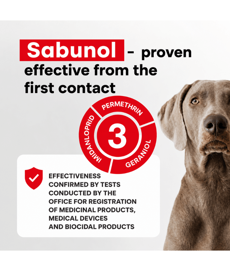 Dr Seidel – Sabunol Flea & Tick Washing Emulsion for Dog Kennels, Floors & Outdoor Areas, Tick & Flea Protection – 150 ml