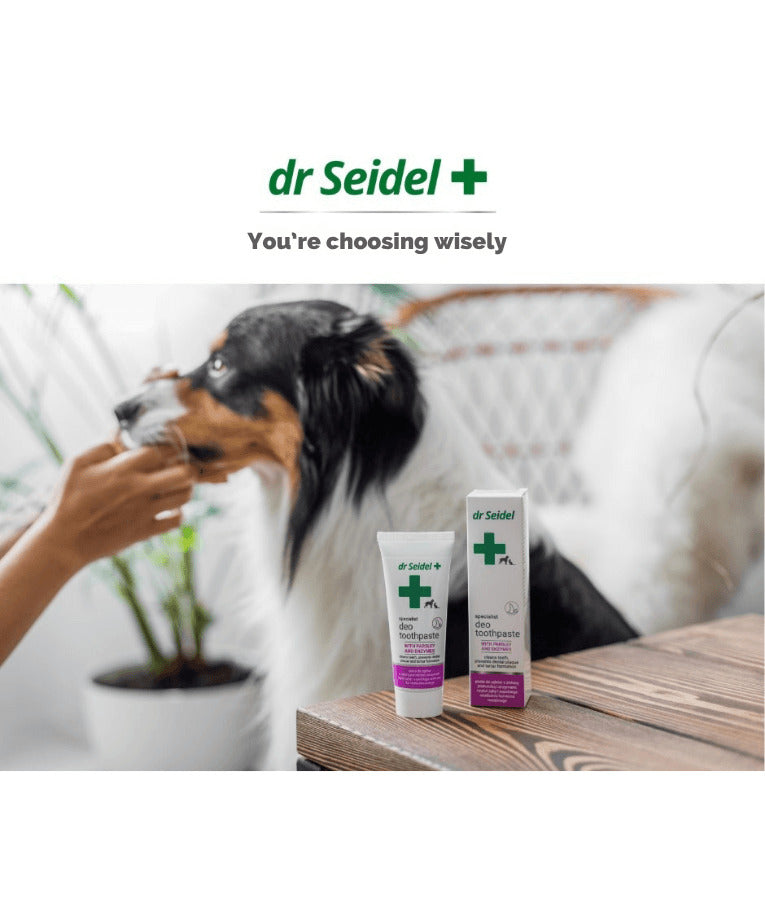Dr Seidel - Deo Toothpaste, Parsley Extract, Enzymes, Dental Hygiene, Breath Freshening - 105g
